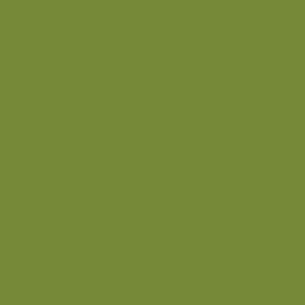 Exquisite Thread - Swamp Green