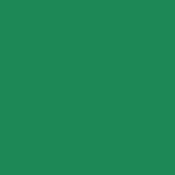 Exquisite Thread - Christmas Green